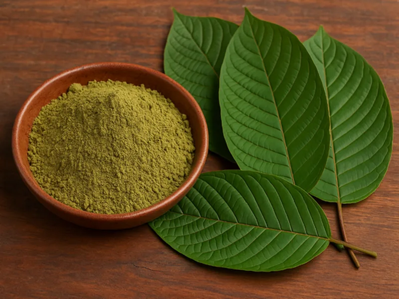 Red Borneo Kratom — premium lab-tested Tucson kratom powder delivered fresh by Vital Blend