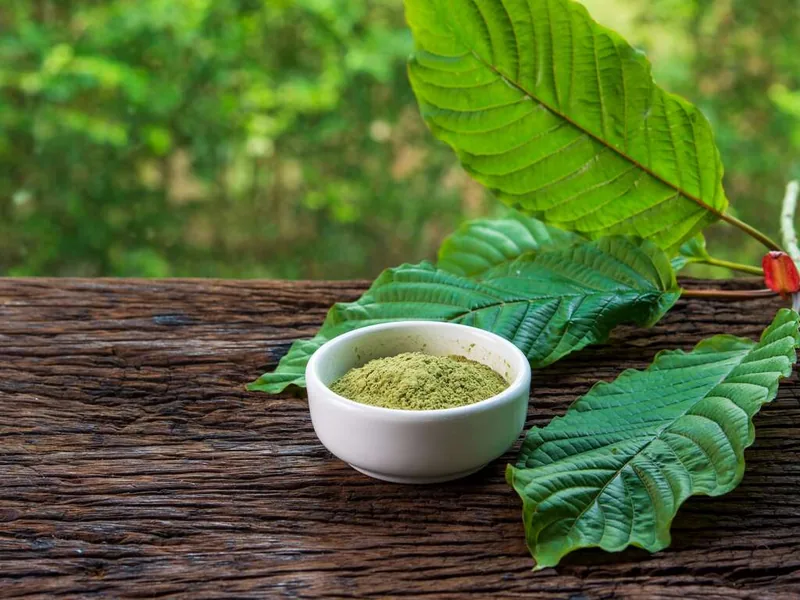 Green Jongkong Kratom — premium lab-tested Tucson kratom powder delivered fresh by Vital Blend